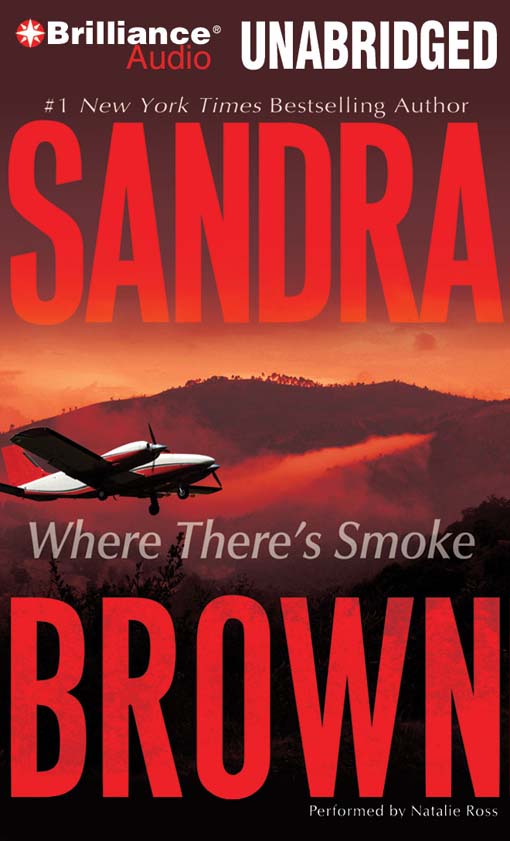 Title details for Where There's Smoke by Sandra Brown - Wait list
